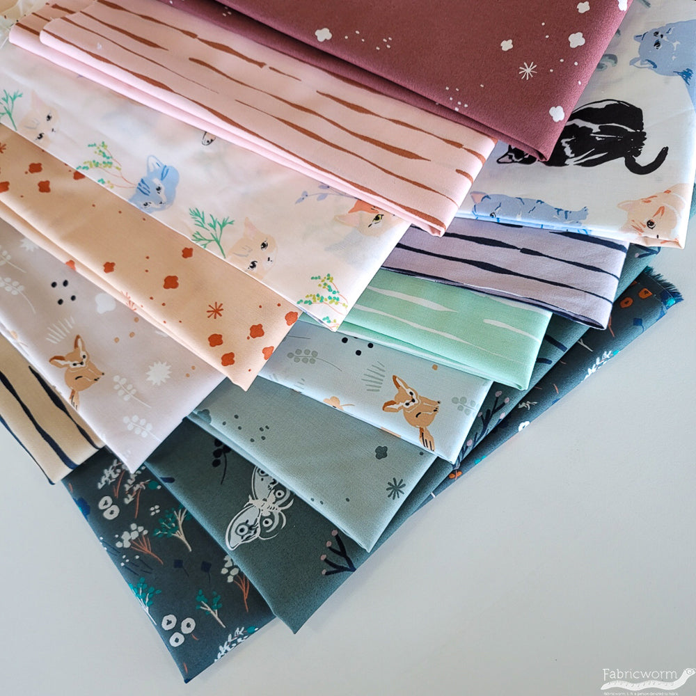 Jenny Ronen Archives