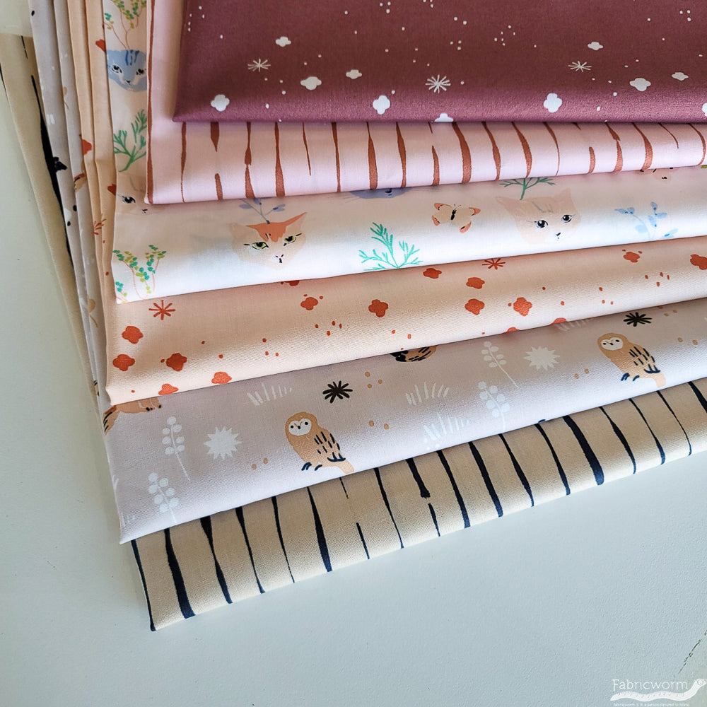Jenny Ronen Archives