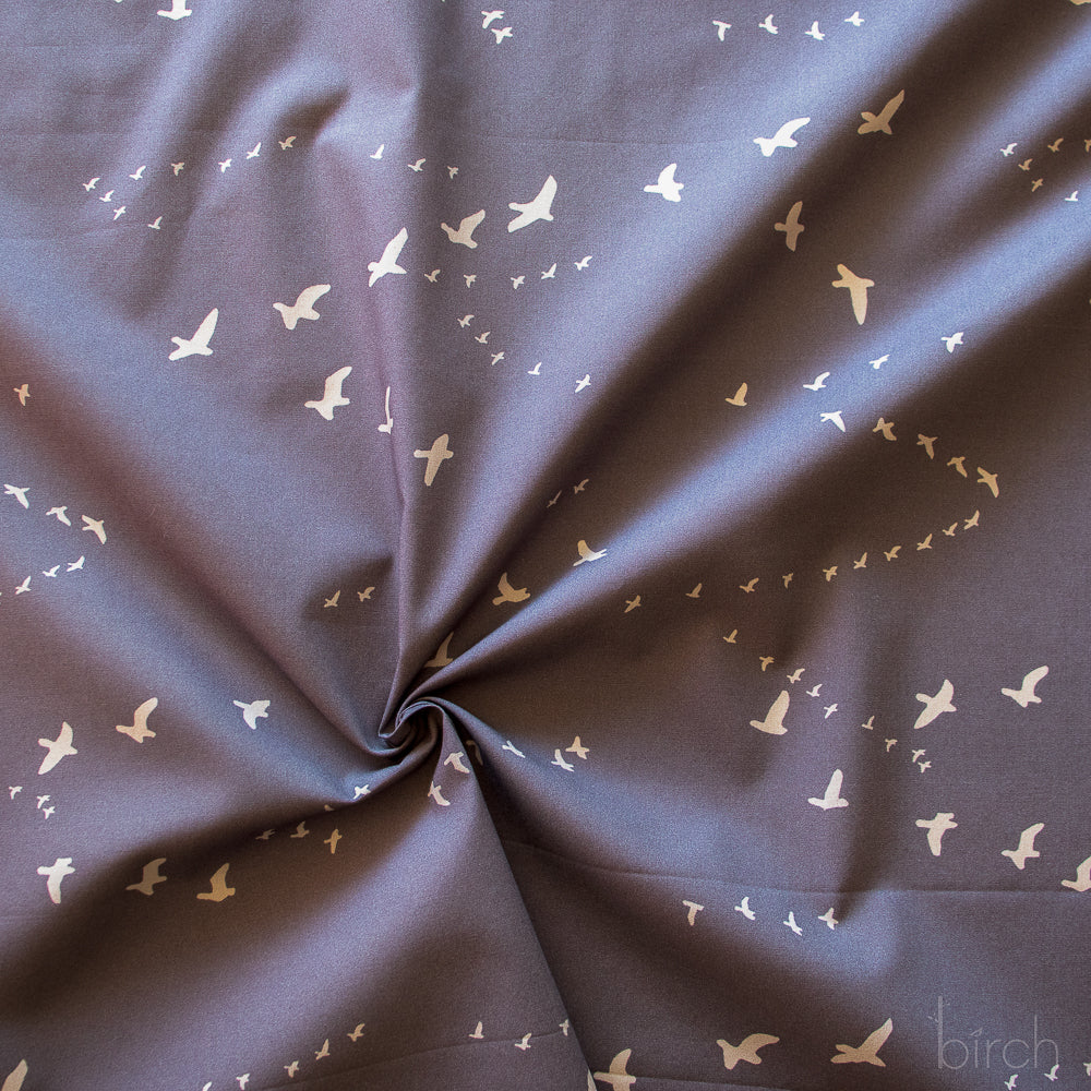 camp-basics-flight-granite-6