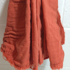 dg-solids-2024-12