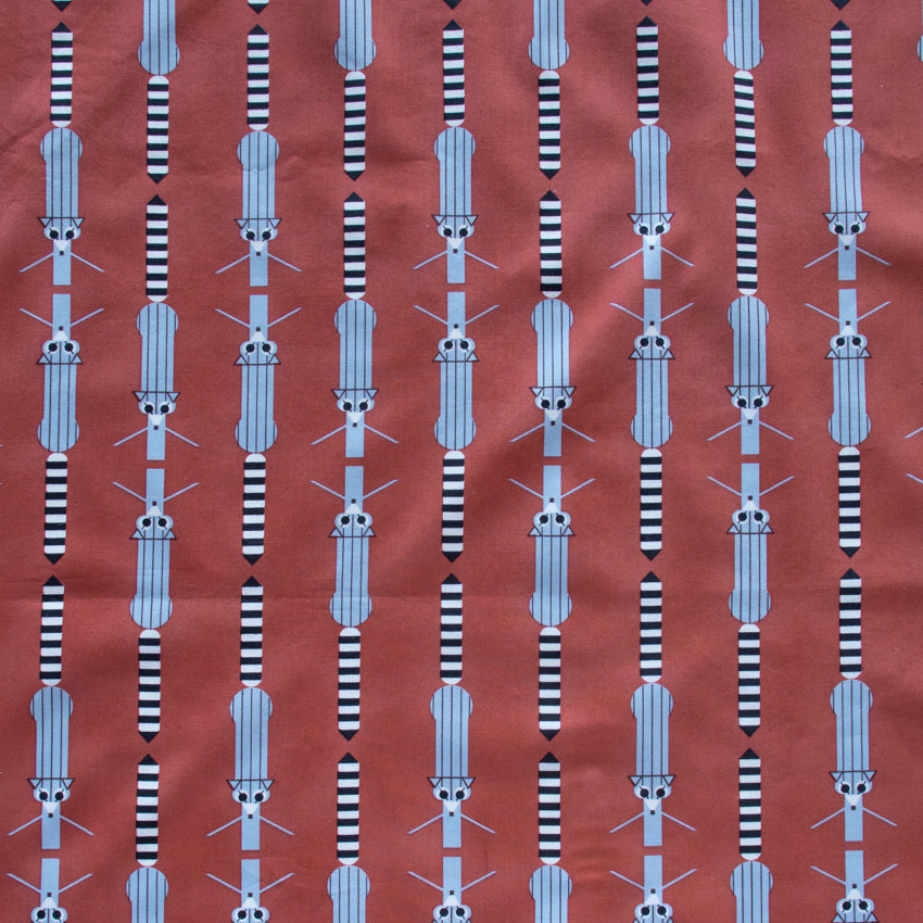 santa rosa CH-316 Ringtail Stripe