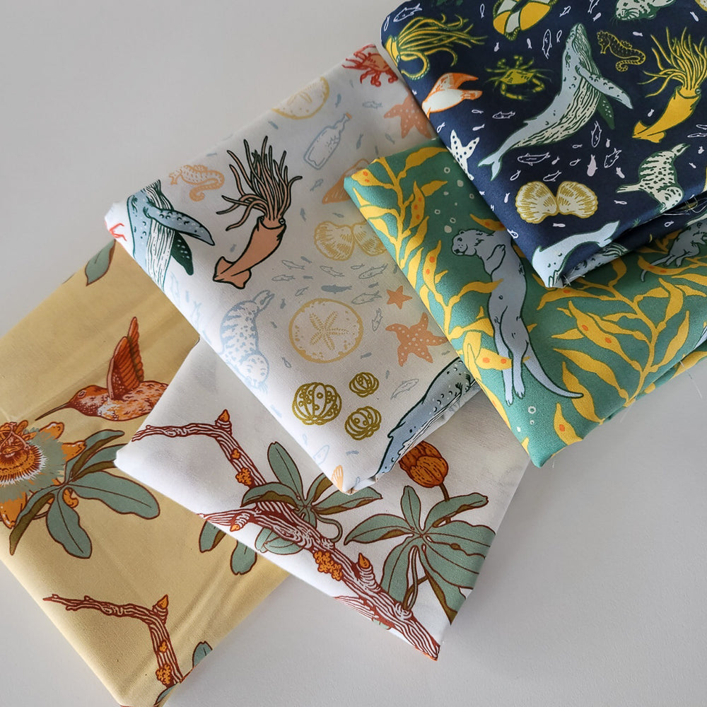 The Wild Coast Archive by Mustard Beetle